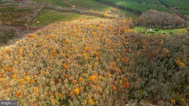 14100 CEDAR PLANTATION RD, Spotsylvania, VA 22551