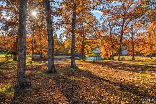 20267 Tall Timber Road, Staunton, IL 62088