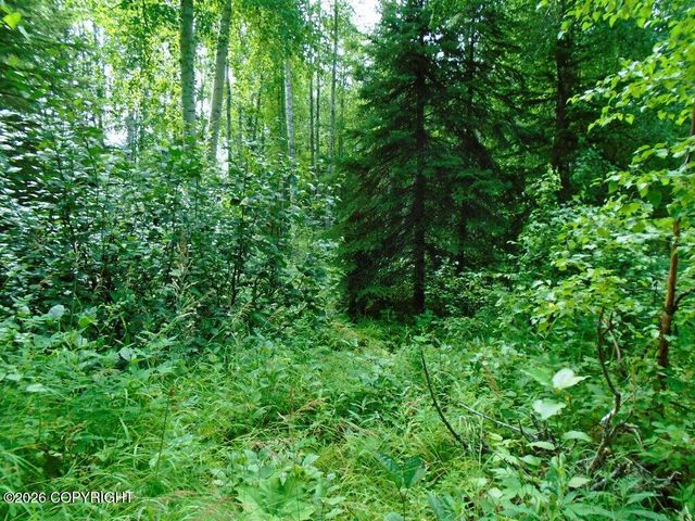 15032 W Necrason Drive, Big Lake, AK 99623