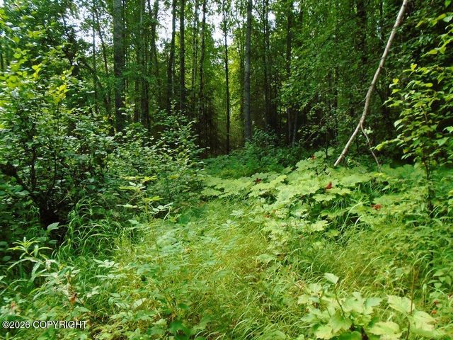15032 W Necrason Drive, Big Lake, AK 99623