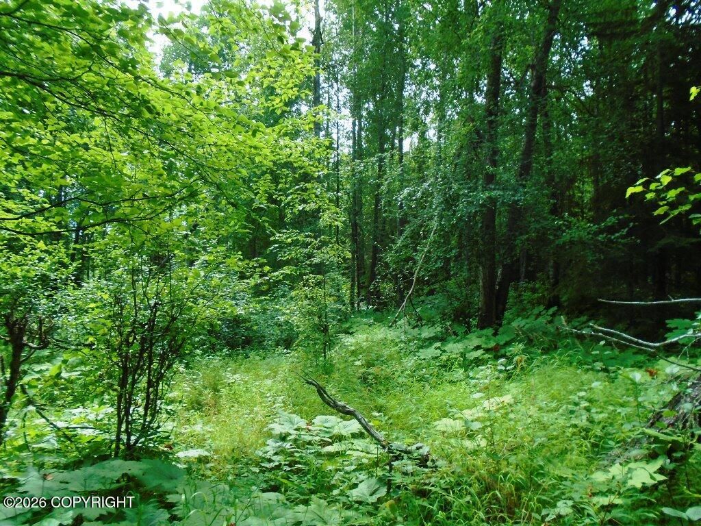 15032 W Necrason Drive, Big Lake, AK 99623