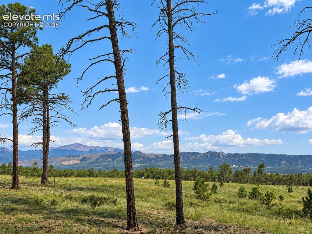 13670 Sterling Spires Heights, Colorado Springs, CO 80908 — photo 2