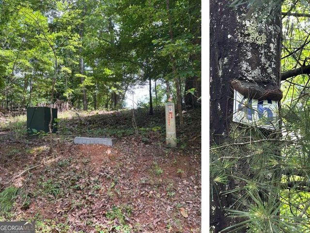 LOT 46 Mission Ridge, Hayesville, NC 28904