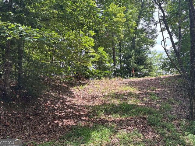 LOT 46 Mission Ridge, Hayesville, NC 28904