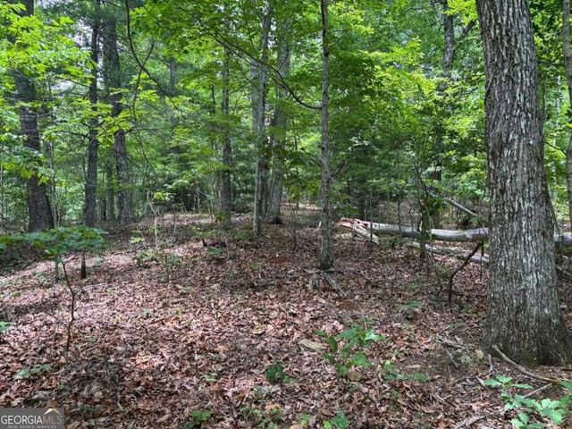 LOT 46 Mission Ridge, Hayesville, NC 28904