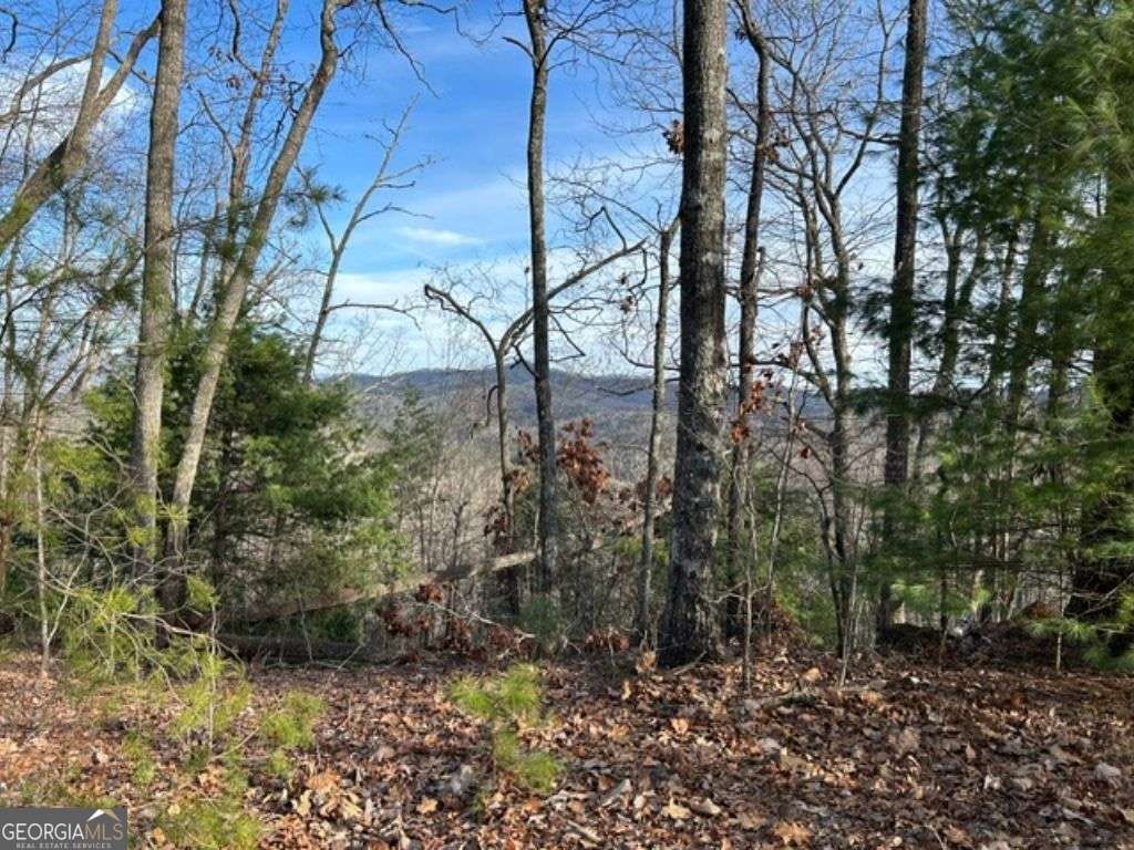 LOT 46 Mission Ridge, Hayesville, NC 28904