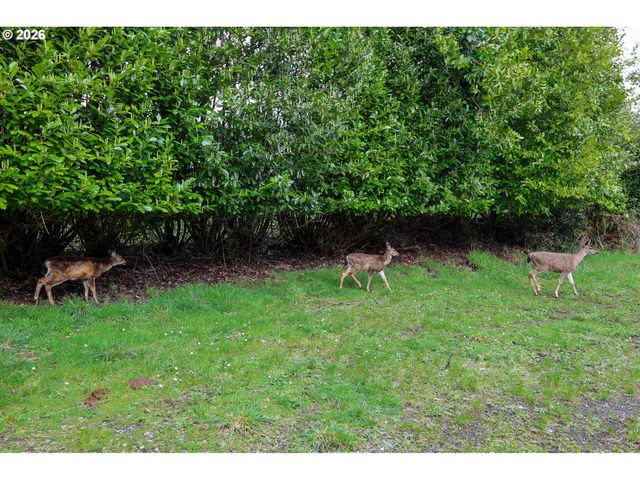 62885 ISTHMUS HEIGHTS Rd, Coos Bay, OR 97420