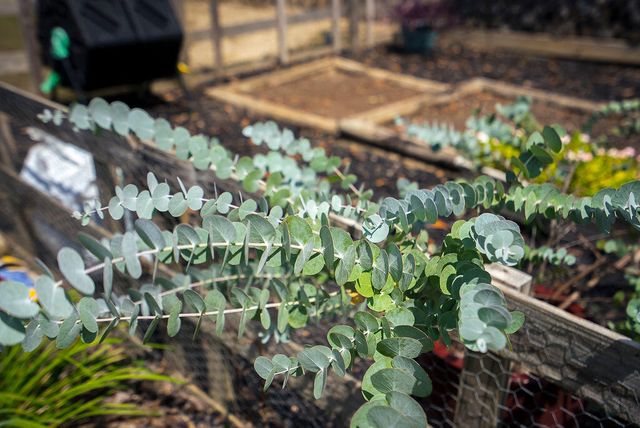 2686 New Hope Circle, Hephzibah, GA 30815