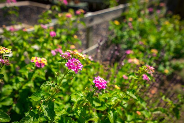 2686 New Hope Circle, Hephzibah, GA 30815