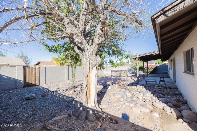 1234 W PALOMINO Drive, Chandler, AZ 85224