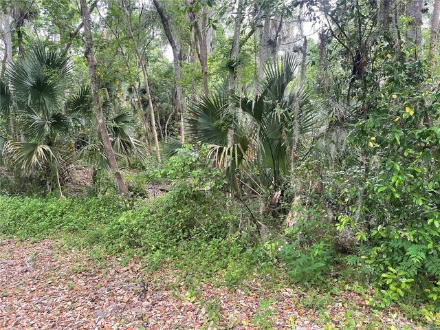 242 FRASER ROAD, Debary, FL 32713