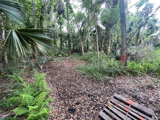 242 FRASER ROAD, Debary, FL 32713