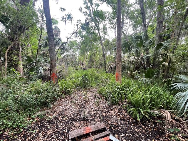 242 FRASER ROAD, Debary, FL 32713