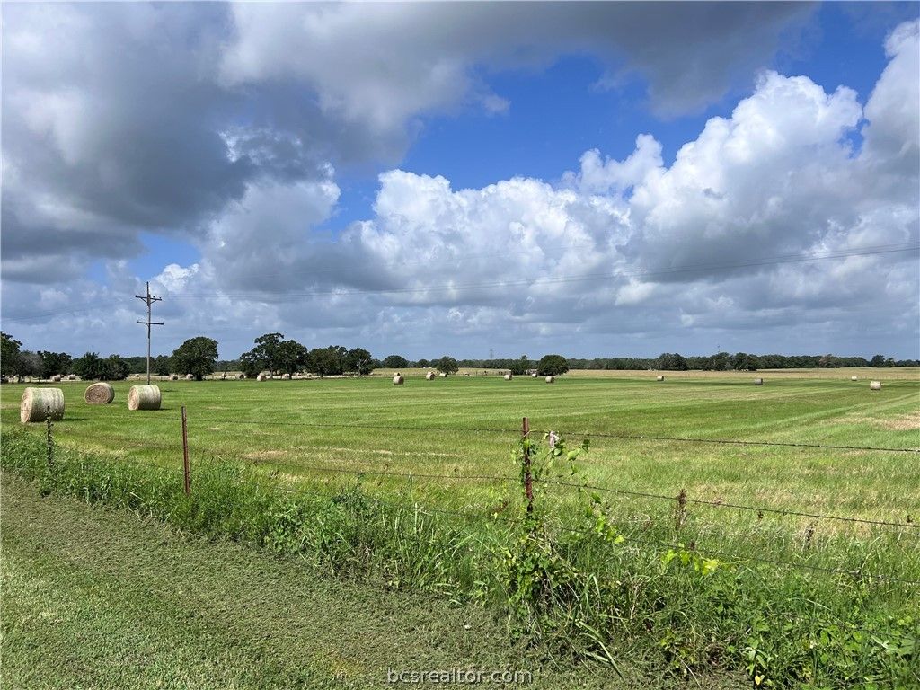 16659 Highway 90 N, Bedias, TX 77831 — photo 4