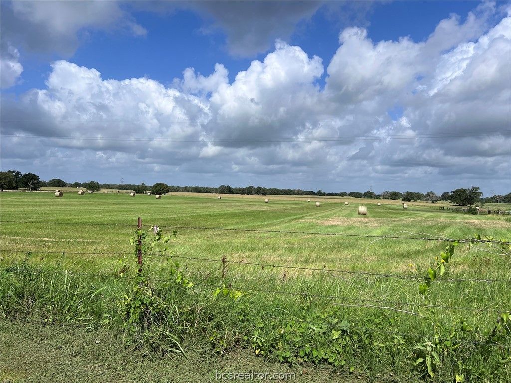 16659 Highway 90 N, Bedias, TX 77831 — photo 5