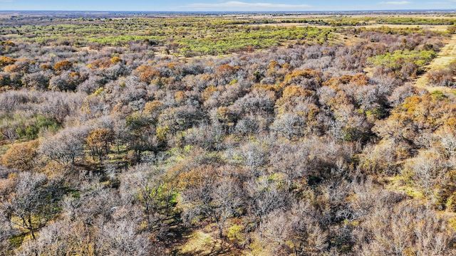 TBD 195.55 Acres State Hwy 56, Southmayd, TX 76268