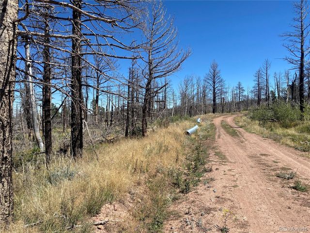 2169 Hayden Lane, Fort Garland, CO 81133