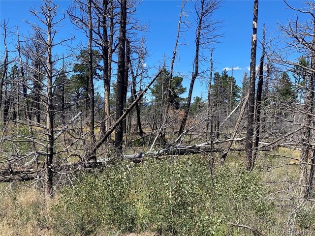 2169 Hayden Lane, Fort Garland, CO 81133