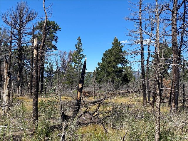 2169 Hayden Lane, Fort Garland, CO 81133