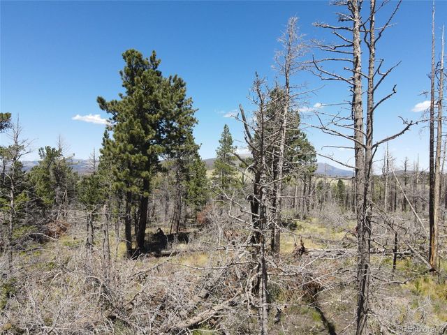 2169 Hayden Lane, Fort Garland, CO 81133