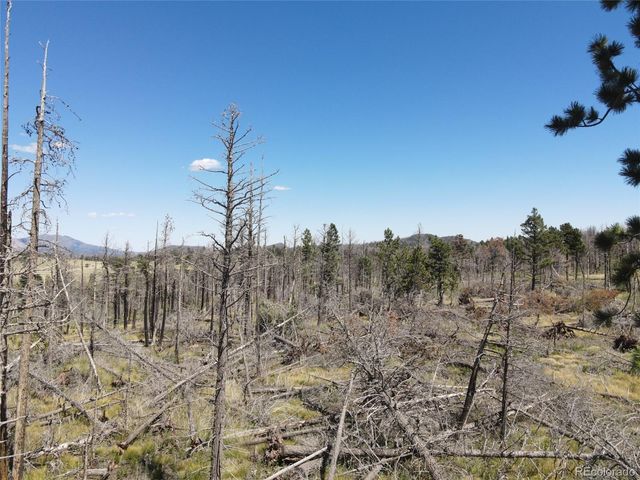 2169 Hayden Lane, Fort Garland, CO 81133