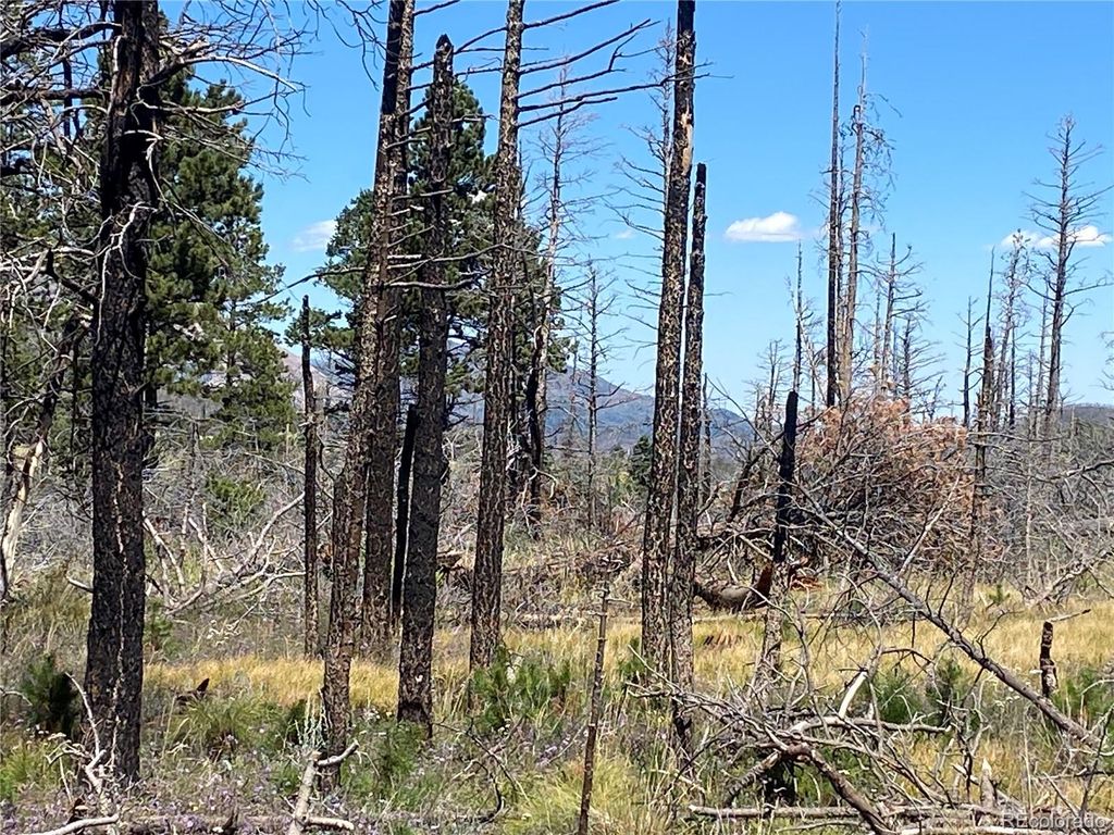 2169 Hayden Lane, Fort Garland, CO 81133