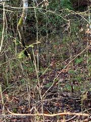 Lot 53A Fiesta Blvd, Sevierville, TN 37876