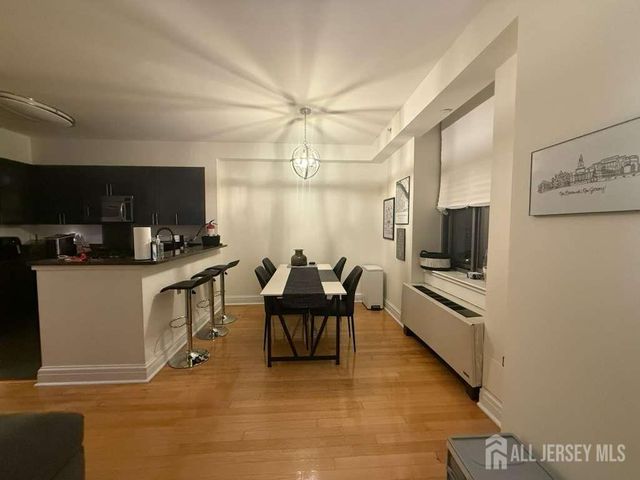 1 Spring Street 702, New Brunswick, NJ 08901