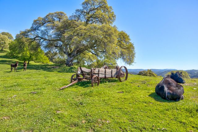 13088 Trembath Mtn Rd, Fiddletown, CA 95629