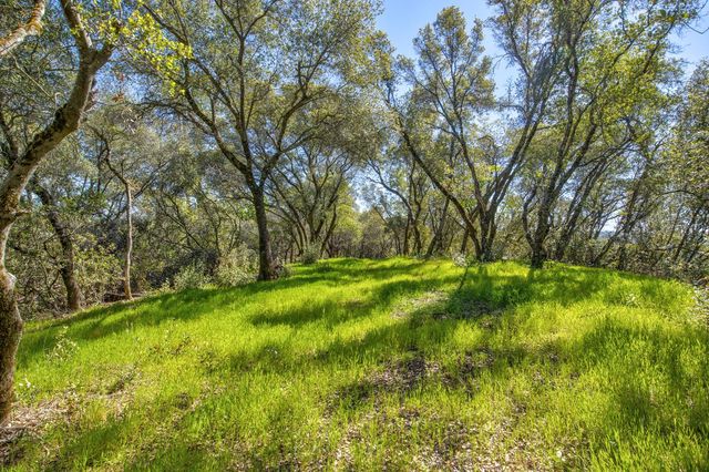 13088 Trembath Mtn Rd, Fiddletown, CA 95629
