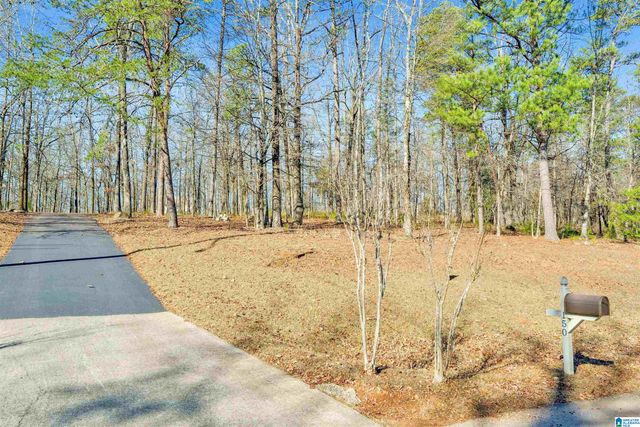 150 CHESTNUT DRIVE, Alabaster, AL 35007