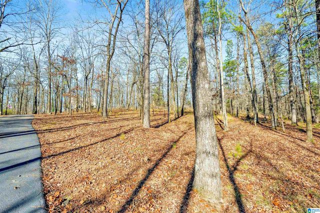 150 CHESTNUT DRIVE, Alabaster, AL 35007