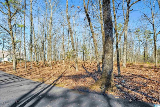 150 CHESTNUT DRIVE, Alabaster, AL 35007