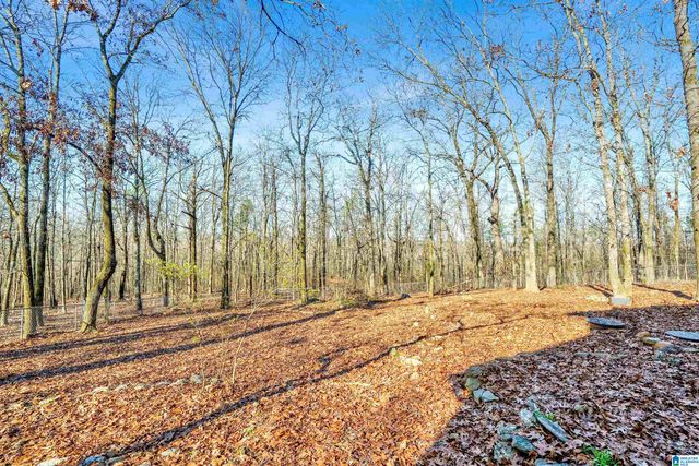 150 CHESTNUT DRIVE, Alabaster, AL 35007