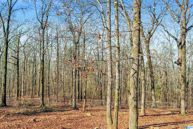 150 CHESTNUT DRIVE, Alabaster, AL 35007