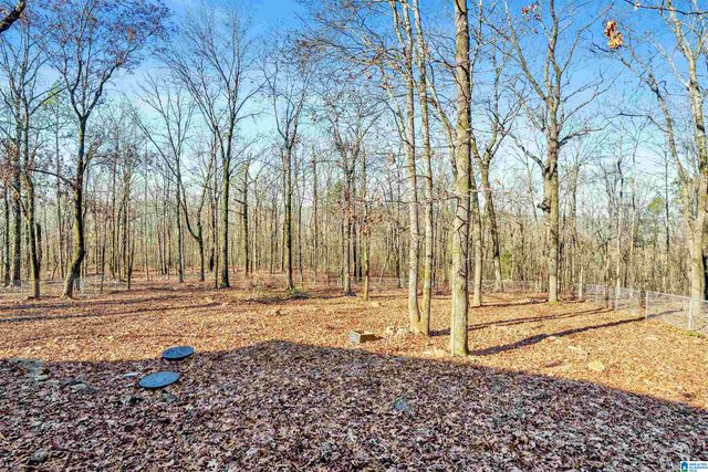 150 CHESTNUT DRIVE, Alabaster, AL 35007