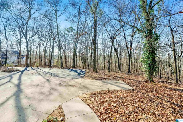 150 CHESTNUT DRIVE, Alabaster, AL 35007