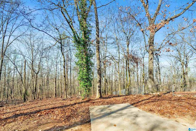 150 CHESTNUT DRIVE, Alabaster, AL 35007