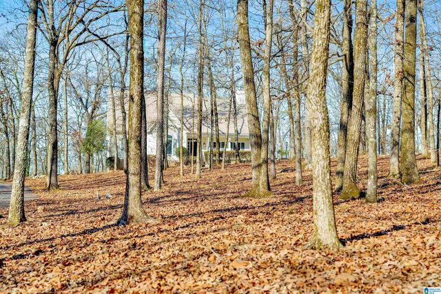 150 CHESTNUT DRIVE, Alabaster, AL 35007