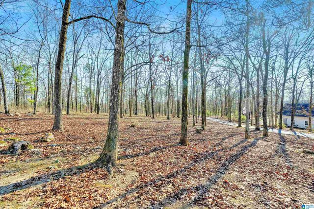 150 CHESTNUT DRIVE, Alabaster, AL 35007