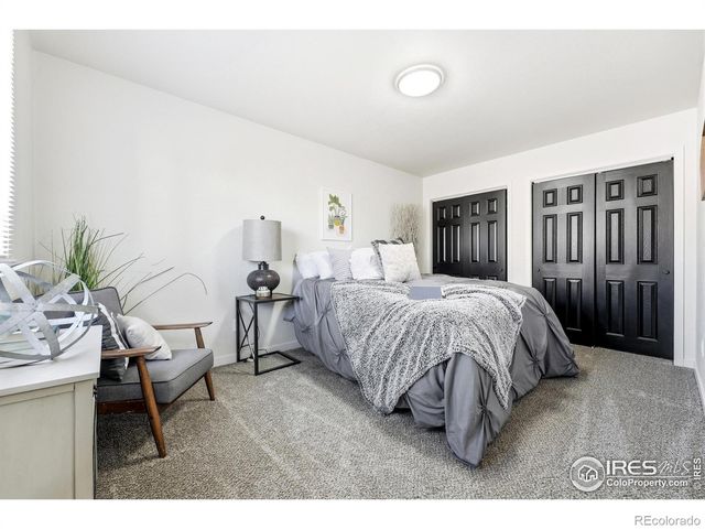 149 Sunflower Drive, Windsor, CO 80550