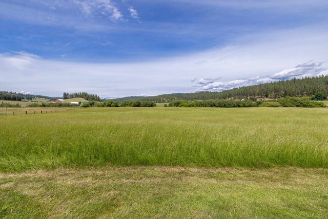 16101 N Mount Spokane Park Dr, Mead, WA 99021