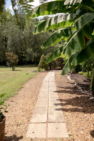 27 Bishop Hollow Ln, Pleasant Shade, TN 37145