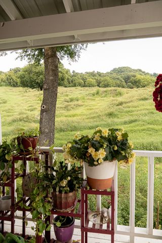 27 Bishop Hollow Ln, Pleasant Shade, TN 37145
