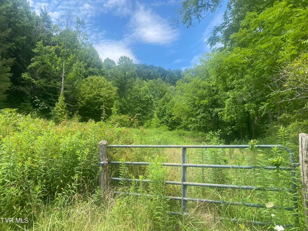 638 Old Hwy 143, Roan Mountain, TN 37687