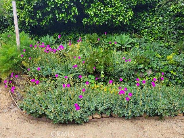 923 Poli Street, Ventura, CA 93001