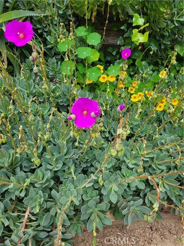 923 Poli Street, Ventura, CA 93001