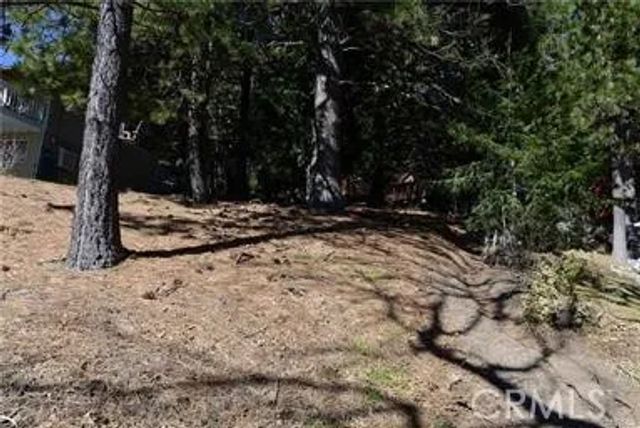 2458 Spring Oak, Running Springs, CA 92382