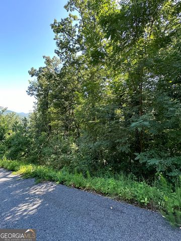 0 Ivy Ridge, Clarkesville, GA 30523