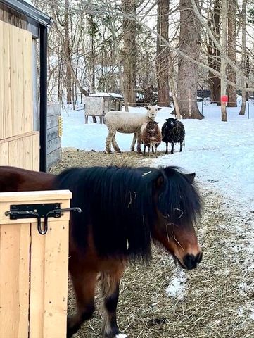 5 Putnam Hill Rd, Sutton, MA 01590